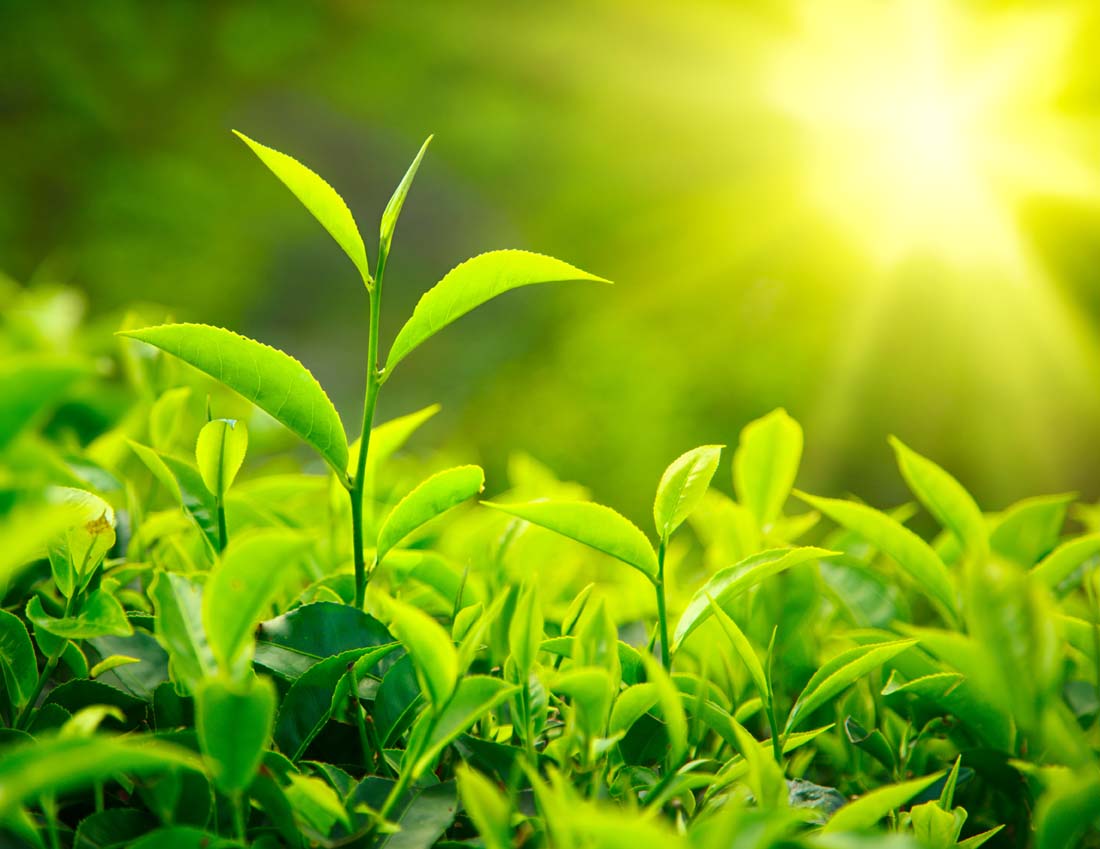 做農(nóng)業(yè)太難了！做農(nóng)業(yè)其實(shí)很簡單